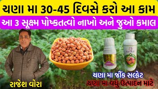 ચણા માં ૩૦-૪૫ દિવસે કરવાની માવજત |વિઘે ૨૦-૨૫ મણ ઉતારો |જીંક સલ્ફેટ કયારે અને કેટલુ વાપરવુ | chana