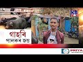 গাহৰি পালকৰ ওচৰত নতশিৰ হ’ল মুখ্যমন্ত্ৰী