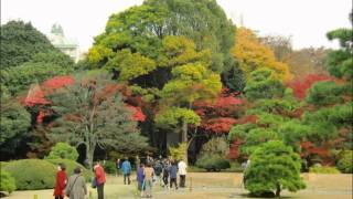 六義園の紅葉１