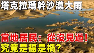 塔克拉瑪幹沙漠大雨，當地居民：從沒見過！ 究竟是福是禍？#科普 #科普頻道