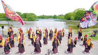 [4K] 夢舞隊 1部　長居植物園 牧野博士のふるさと 高知県マルシェ  2023