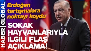 SON DAKİKA! Cumhurbaşkanı Erdoğan, "Sokak Hayvanları" Tartışmasına Noktayı Koydu!