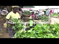 African Indigenous Vegetables