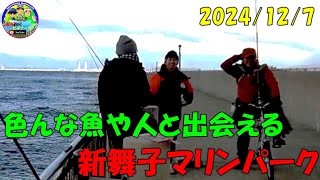 【愛知県新舞子マリンパーク】でエサ・サビキ・ルアー釣り　[Aichi Prefecture Shinmaiko Marine Park] Bait, Sabiki, Lure Fishing