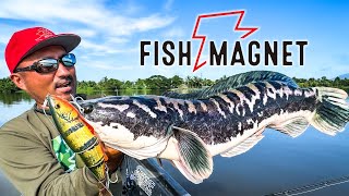 秦拓馬のルアーブランド『FISH MAGNET』始動！七夕ＳＰ生配信！