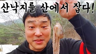 목포 뻘낙지 세발낙지를 잡아서 낙지호롱구이 낙지라면을 해먹었습니다. mukbang eatingshow