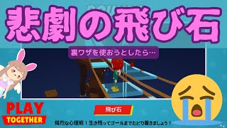 【一緒に遊ぼう】悲劇の飛び石 〜裏ワザを使おうとしたら…〜