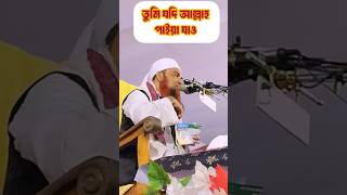 তুমি যদি আল্লাহ পাইয়া যাও।আব্দুল মান্নান ওসমানী