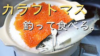 【鮭釣り遠征】知床でカラフトマス釣って食べる。究極の土鍋いくら丼でいただいた。