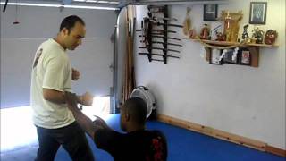 Bujinkan Butoku Dojo training # 85