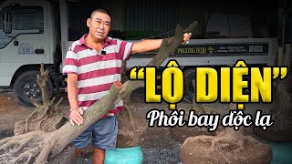 🚀 Phôi Mai Dáng Bay \