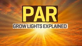 Grow Lights Explained - PAR