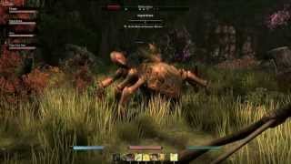 The elder scrolls Online Gameplay en donjon (conference TESO)