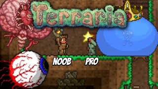 Terraria: Pro Teaches NOOB How to Play (*pain*)