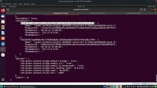GitLab Docker Executor #1.6 User Defined Network