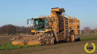 Rübenernte / Ropa Panter 2 XL / Fendt 936, 724 Vario / LU A. Marquardt