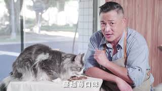 【Nic江宏恩 X BlueBay倍力 聯名】犬貓專護保健營養粉：億菌排毛粉、優泌力｜倍力寵物