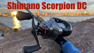 Shimano 21 Scorpion DC Review, Teardown, and Bearing Upgrade