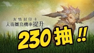 【獲得人面雛鳥機率提升！】230抽實測！加倍到底有沒有感？by Hsu