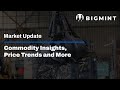 BigMint Weekly Market Update | Commodity Insights, Price Trends and More