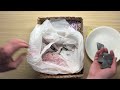 gigantic box of mystery rocks rough stone rocks unboxing