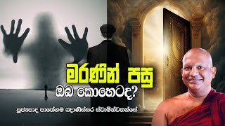 ''මරණින් මතු මොකද වෙන්නේ'' |  පූජ්‍යපාද, පාතේගම ඤාණිස්සර මාහිමිපාණෝ | 2023-10-28