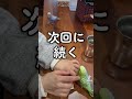 shorts セキセイインコ セキセイインコのいる暮らし