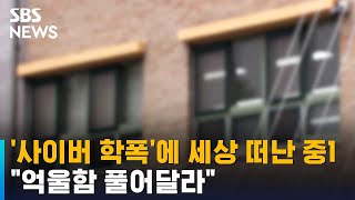 '사이버 학폭' 시달리다 세상 떠난 중1…\