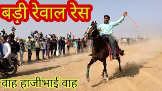 बड़ी रेवाल रेस ।। Horse rewal race in dhrang 2020