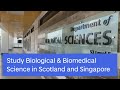 Biological & Biomedical Sciences joint degree with NUS | Life Sciences | University of Dundee