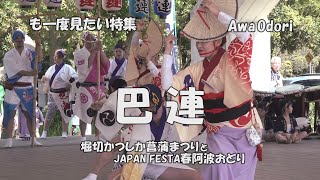 鳴り物・踊り・観客三位一体で楽しむ！「巴連 」堀切かつしか菖蒲まつりとJAPAN FESTA2019（2022.3.20）