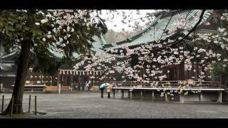 神社ヒーリング　静岡 三嶋大社～気功音楽入り写真動画・ヒーリング動画