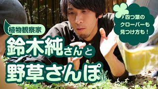 植物観察家・鈴木純さんと野草さんぽ　四つ葉のクローバーの見つけ方も