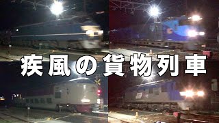 2021年4月13日の貨物列車　二ノ宮踏切に響き渡る素晴らしい貨物列車の高速通過とジョイント音をお楽しみください！　疾風の貨物列車　全31本　EF66-27号機ことニーナも参上します！