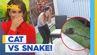 CCTV captures moment cat narrowly escapes being eaten by carpet python | Today Show Australia