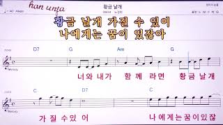 💖황금날개/노경희  👍MR,노래방, 악보, 코드,Karaoke With Sheet  Music