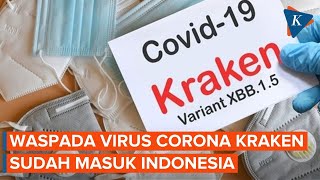 Kenali Gejala Virus Covid-19 Kraken Yang Sudah Masuk Ke Tanah Air