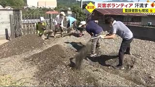 災害ボランティア　台風15号の被災地で汗流す　登録者も増加　静岡市