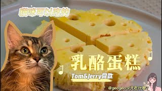 自製貓零食 | 完美還原湯姆貓與傑利鼠的乳酪蛋糕 美毛又補鈣～
