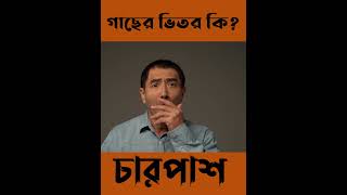 গাছের ভিতর কি আছে? #shorts