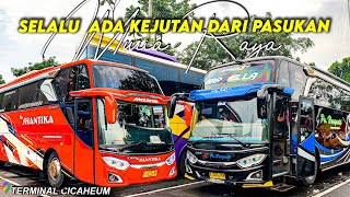 SELALU ADA KEJUTAN DARI PASUKAN MURIA RAYA ‼|| HUNTING SORE HARI TERMINAL CICAHEUM