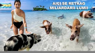 Plaja unde înoți cu porcii si rechinii chiar există! + Hotel Atlantis GRATIS | Bahamas