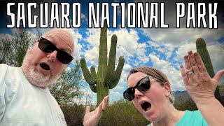 Arizona’s Most INCREDIBLE Desert Forest | Saguaro National Park 2025