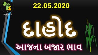 22.05.20 દાહોદ માર્કેટિંગ યાર્ડના આજના બજાર ભાવ | Dahod APMC bhav