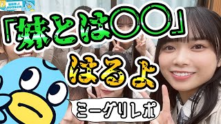 【ミーグリレポ】はるよ「双子の妹とは…」【日向坂46おひさまとめ】