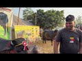 🦁bfa dhanaula pashu mela 2024 प्रवीण फौजी का बुल बना champion shera foji no. 1 murrah bull