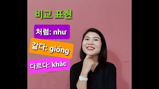 제27과. [베트남어의 비교 표현]  처럼/  같다/  다르다