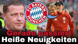 💥Heutige Nachrichten: Überraschung enthüllt! Nachrichten Vom FC Bayern München