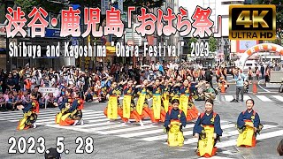 【4K Japan】2023.5.28 ※速報※ 渋谷・鹿児島「おはら祭」『Shibuya and Kagoshima \