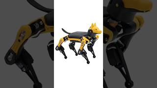 World's first palm-sized quadruped robot!